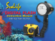 DIGITAL FLASH